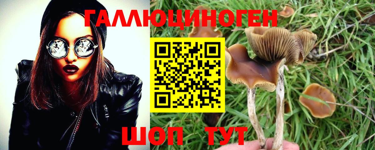 МЕФ Камень-на-Оби