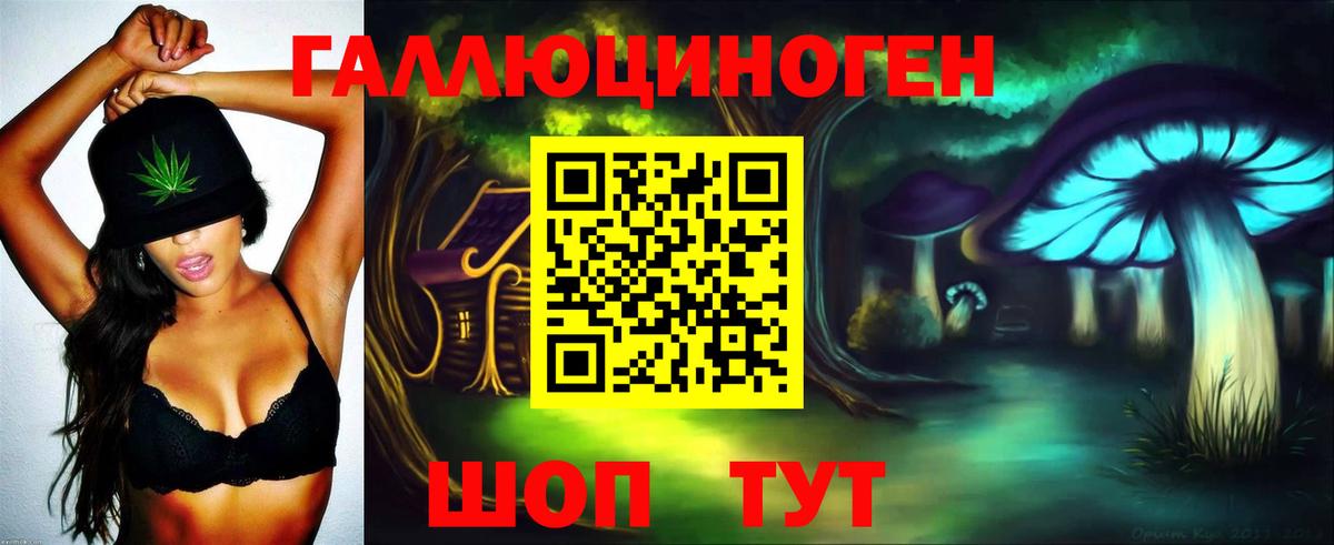 Камень-на-Оби  Галлюциногенные грибы Psilocybe  где купить наркоту  Вход с VPN 
